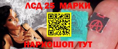 гидра Камышлов