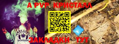 гидра Камышлов