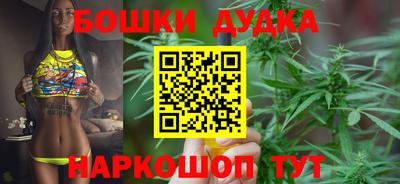 гидра Камышлов